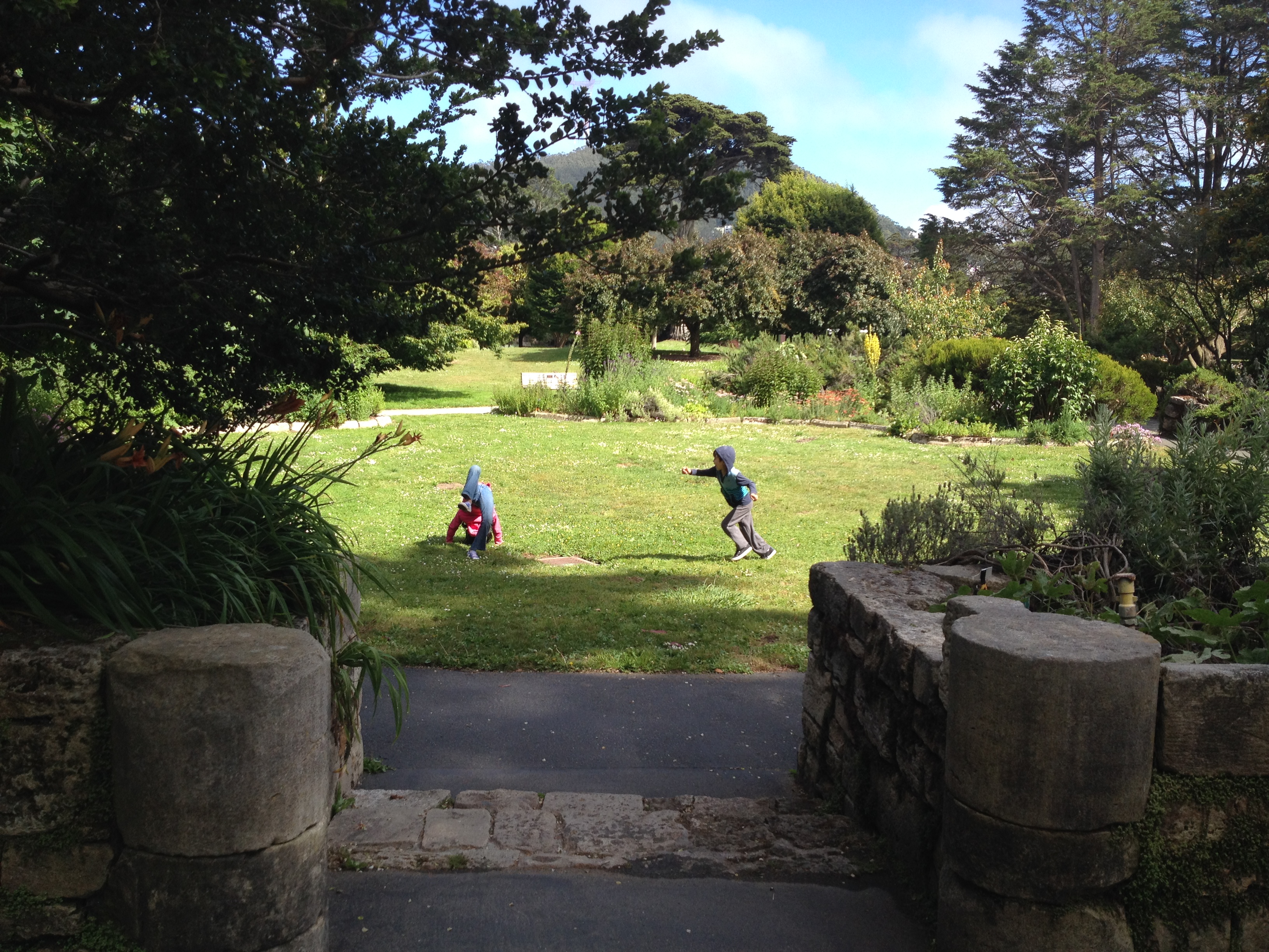 view of the lawn from the bench